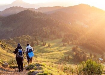 5 Rekomendasi HP OPPO 5G November 2021