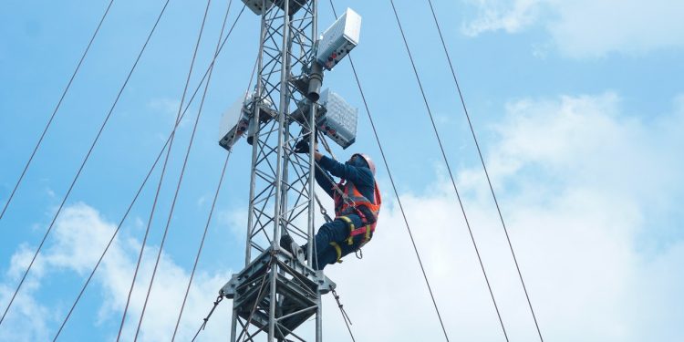 Kerja Sama Kanada-Indonesia Bangkitkan Kembali Bumbu Nusantara