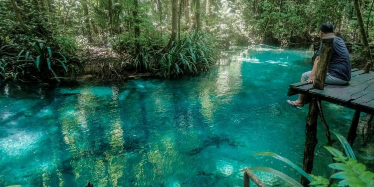Layaknya di Pandora, Kali Biru Warambin Suguhkan Pesona Alam yang Menakjubkan