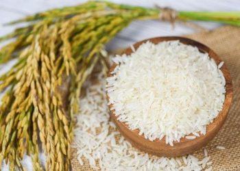 5 Manfaat Air Cucian Beras untuk Rambut