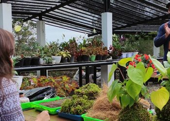 Bertanam dengan Cara yang Berbeda, Kebun Raya Bogor Buka Kelas Kokedama