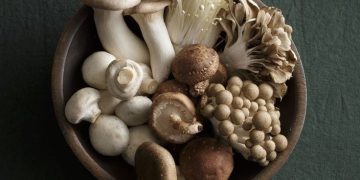 Ini Dia 5 Manfaat Mengonsumsi Jamur!