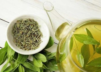 Perhatikan OS Ponsel Kamu, Sebelum Kamu Tidak Bisa Menggunakan WhatsApp