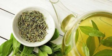 Perhatikan OS Ponsel Kamu, Sebelum Kamu Tidak Bisa Menggunakan WhatsApp