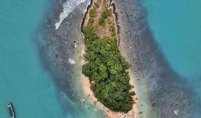 Hal Baru dari Instagram yang Siap Jadi Saingan Twitter