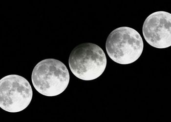 ZOHO Umumkan Pertumbuhan Pasar Kelas Atas Sebesar 65%