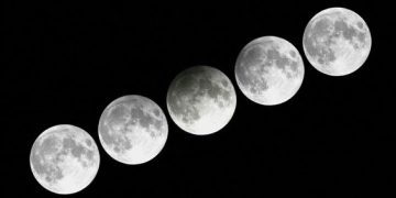 ZOHO Umumkan Pertumbuhan Pasar Kelas Atas Sebesar 65%