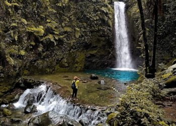 5 Rekomendasi Tempat di Bogor