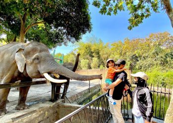 Rekomendasi Objek Wisata Di Kota Batu Yang Cocok Untuk Family Time