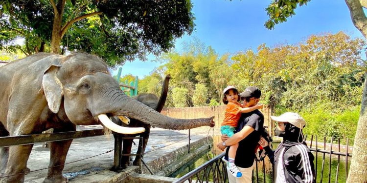 Rekomendasi Objek Wisata Di Kota Batu Yang Cocok Untuk Family Time