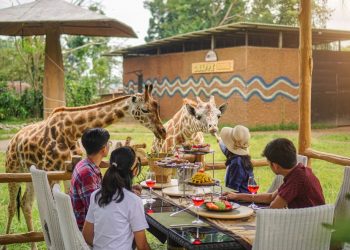 Asiknya Habiskan Libur Lebaran Dengan Staycation di Royal Safari Garden Bogor