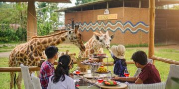 Asiknya Habiskan Libur Lebaran Dengan Staycation di Royal Safari Garden Bogor