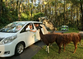 5 Destinasi Wisata Terbaik di Pasuruan untuk Liburan Seru
