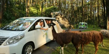 5 Destinasi Wisata Terbaik di Pasuruan untuk Liburan Seru