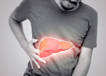 BUJP Teladan 2025: Shelter Indonesia Ukir Prestasi di Tingkat Nasional