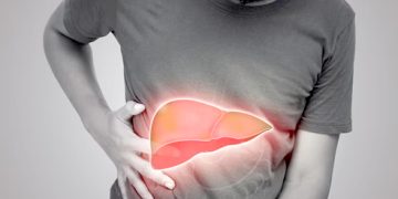 BUJP Teladan 2025: Shelter Indonesia Ukir Prestasi di Tingkat Nasional