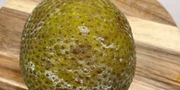 Sukun Matang: Si “Buah Roti” Tropis yang Lagi Viral di Dunia Food Vlogger!