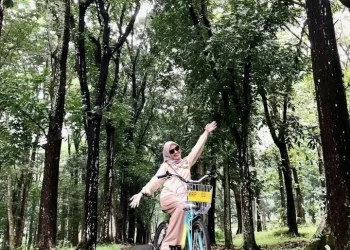 Healing di Tengah Alam: Menjelajah Kebun Raya Purwodadi, Oase Hijau di Jawa Timur