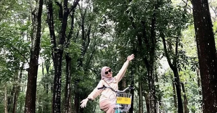 Healing di Tengah Alam: Menjelajah Kebun Raya Purwodadi, Oase Hijau di Jawa Timur