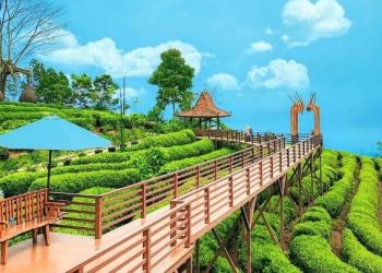 Rekomendasi Wisata Subang: Dari Alam Pegunungan hingga Pantai