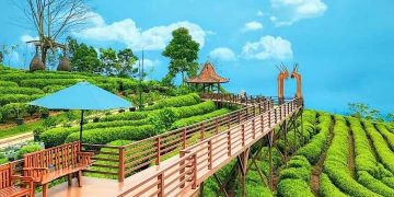 Rekomendasi Wisata Subang: Dari Alam Pegunungan hingga Pantai