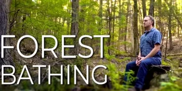 Forest Bathing: Tren Kesehatan Mental untuk Menenangkan Pikiran