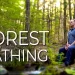 Forest Bathing: Tren Kesehatan Mental untuk Menenangkan Pikiran