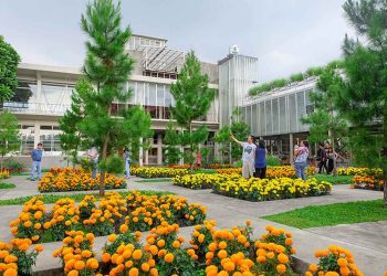 Lifestyle Healing di Rumah Atsiri Indonesia, Menyatu dengan Alam dan Ketenangan