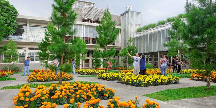 Lifestyle Healing di Rumah Atsiri Indonesia, Menyatu dengan Alam dan Ketenangan