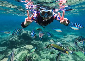 Surga Tropis Karimunjawa, Destinasi Liburan Impian di Laut Jawa