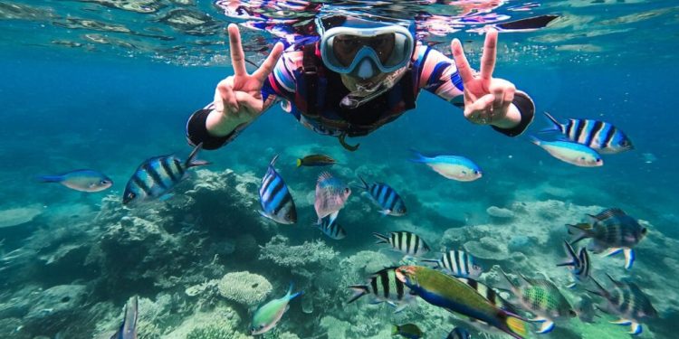 Surga Tropis Karimunjawa, Destinasi Liburan Impian di Laut Jawa