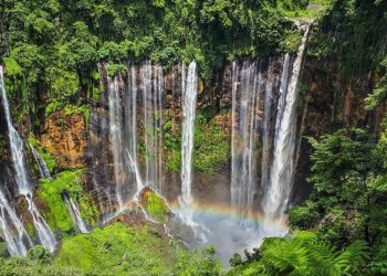 10 Rekomendasi Wisata Lumajang, Jawa Timur yang Wajib Masuk Daftar Liburan