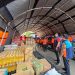 Percepat Respons Darurat Gempa NTT, IDSurvey Group Salurkan 2,4 Ton Bantuan melalui BNPB