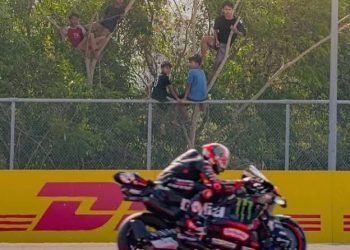 Viral! Warga Rela Naik Pohon Demi Nonton MotoGP Mandalika 2026, Ada Apa?