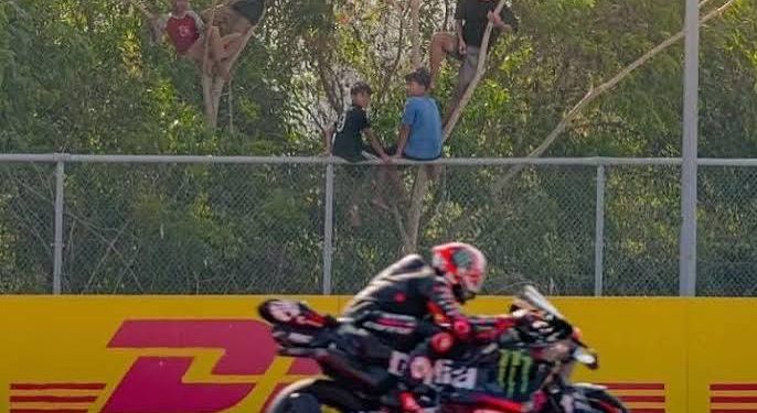 Viral! Warga Rela Naik Pohon Demi Nonton MotoGP Mandalika 2026, Ada Apa?
